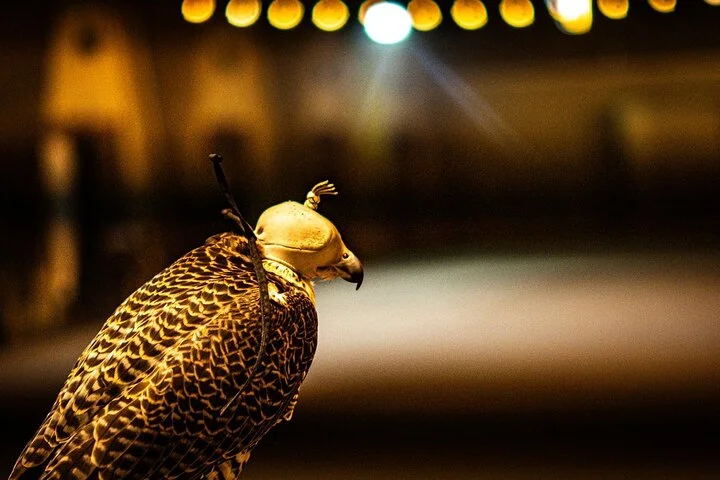 Dubai Premium Sunset Red Dune Desert Safari with BBQ & Lives how