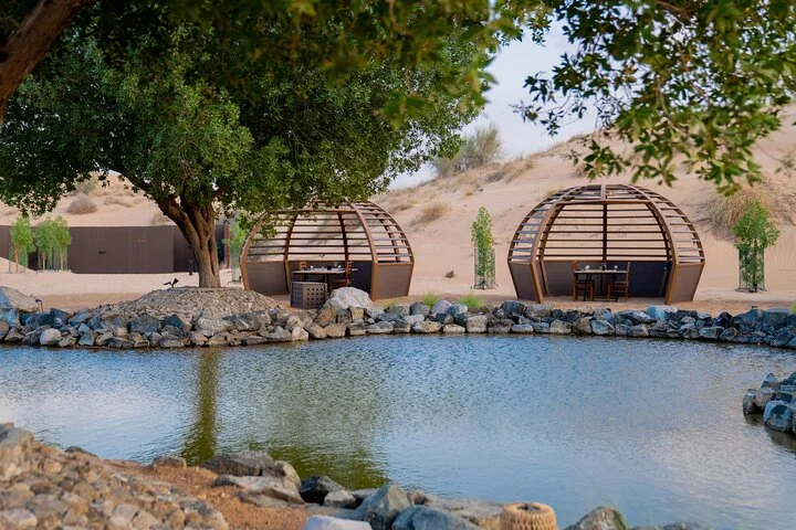 Dubai: Private Falconry Experience & Platinum Breakfast