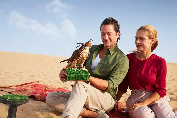 Dubai: Private Falconry Experience & Platinum Breakfast