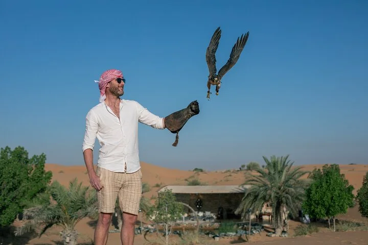 Dubai: Private Falconry Experience & Platinum Breakfast