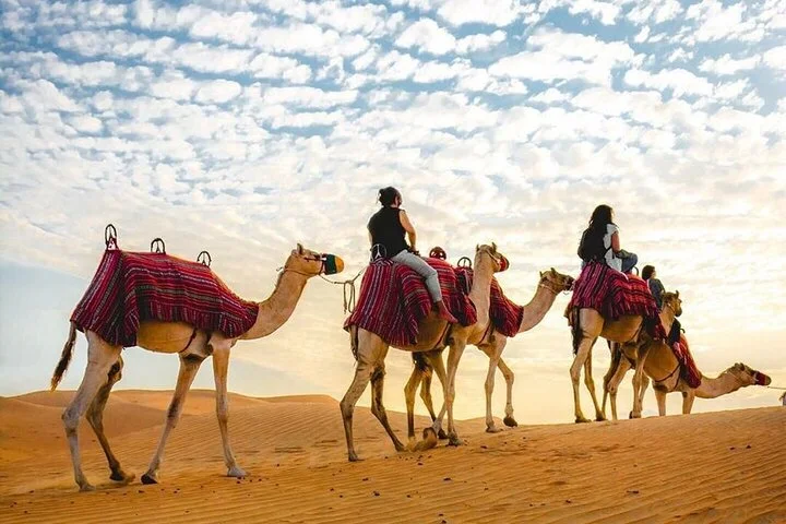 Dubai Private Morning Desert Safari: Camel Ride & Sandboarding