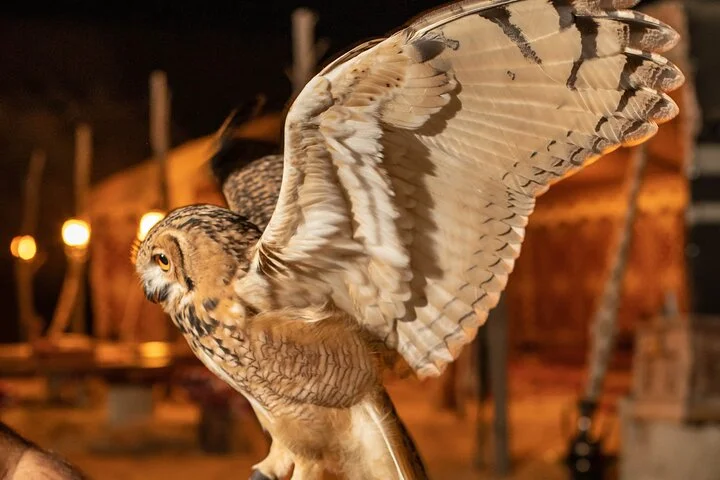 Dubai: Private Night Vintage Land Rover Safari and Astronomy