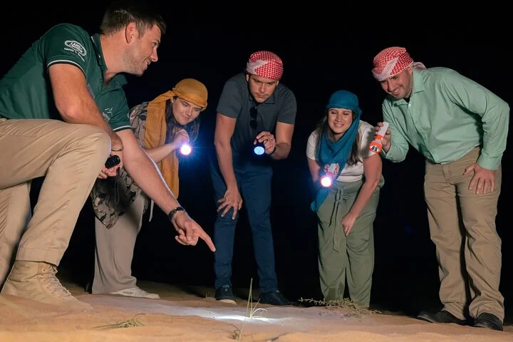 Dubai: Private Night Vintage Land Rover Safari and Astronomy