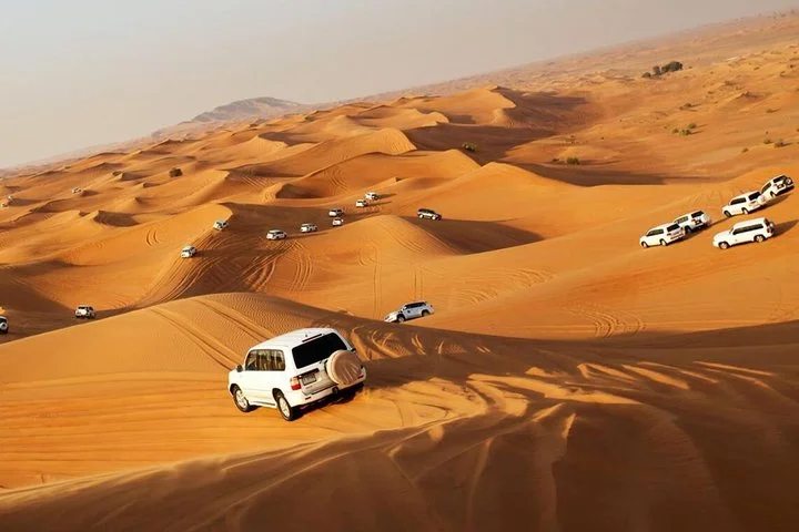 Dubai Red Desert Safari, Quad bike, Camel rid, BBQ Dinner & shows
