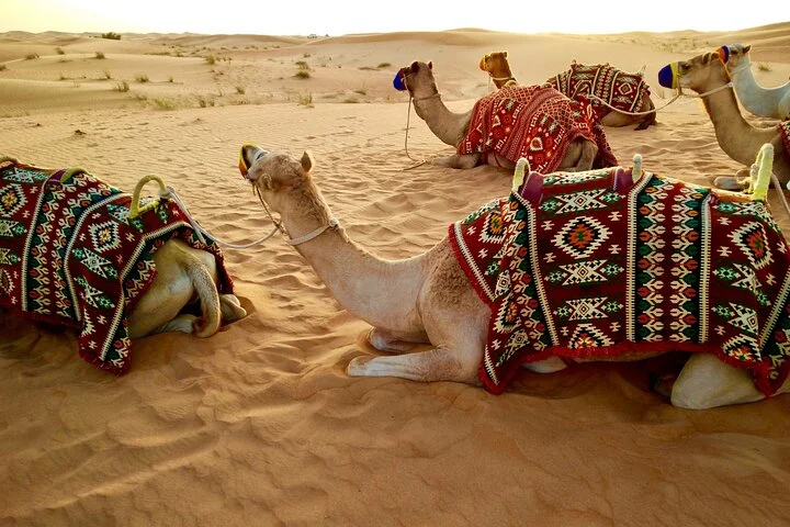 Dubai Red Dune Desert Safari With Buffet Dinner