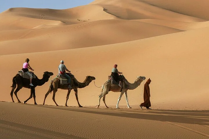 Dubai Red Dune Evening Safari Tour