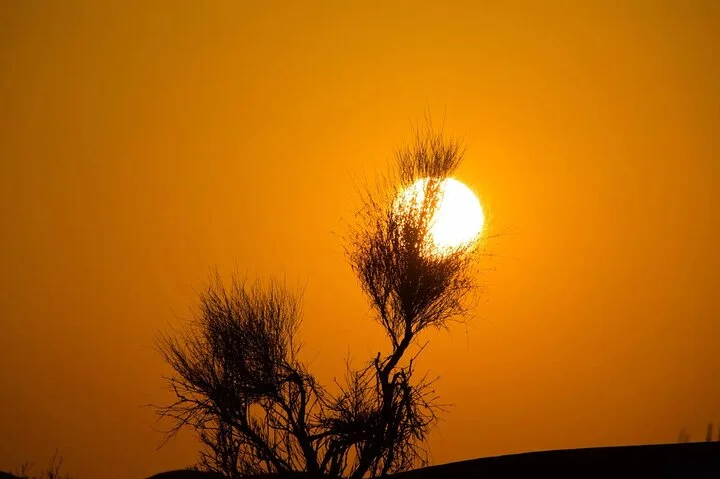 Dubai Red Dunes ATV, Camels, Stargazing & 5* BBQ