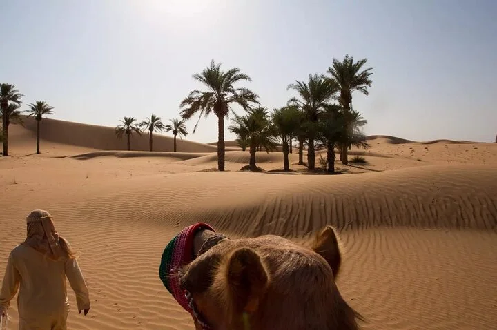 Dubai Red Dunes ATV, Camels, Stargazing & 5* BBQ