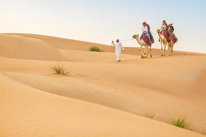 Dubai Red Dunes Morning Safari With Camel Ride