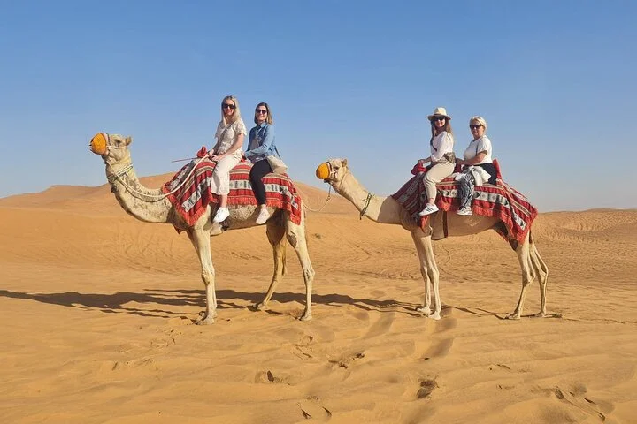 Dubai: Red Dunes Safari, Quad, Camel, Dune Bash, BBQ & Shows