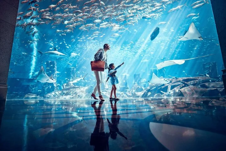 Dubai Select Attractions Pass