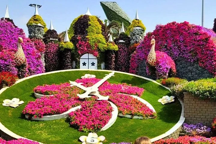 Dubai Skip The Line Ticket to Miracle Garden and Transfer Option