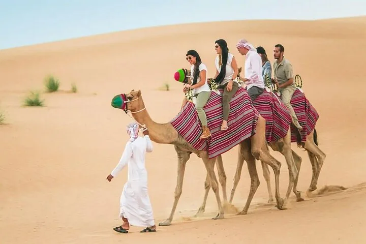 Dubai Stargazing & Desert Safari, Camel Ride, Show & BBQ Dinner