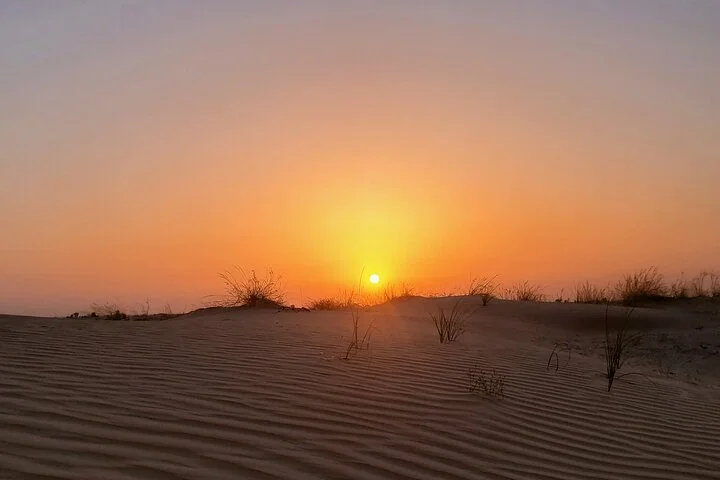 Dubai Sunset Camel Ride with Desert Safari