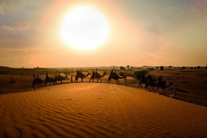 Dubai Sunset Camel Trekking With BBQ Dinner