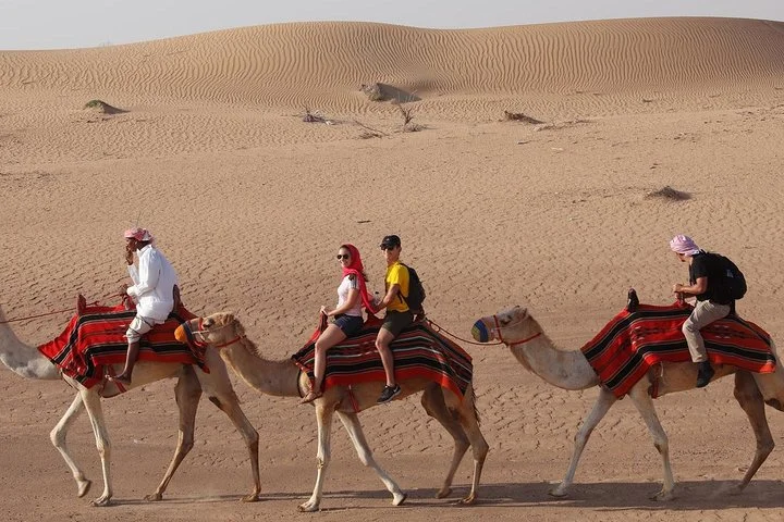 Dubai Sunset Camel Trekking With BBQ Dinner at VIP Camp