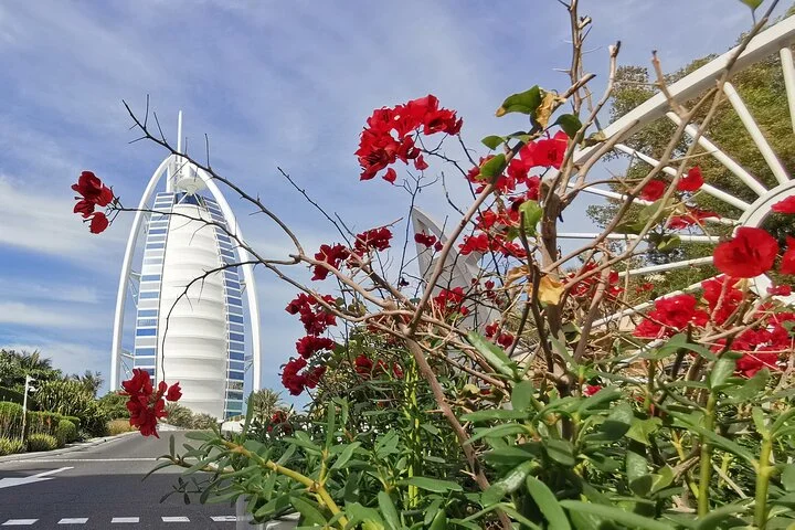 Dubai Top Five Attractions Tour With Entry Tickets