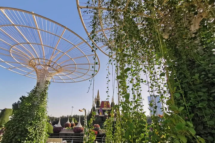 Dubai Top Five Attractions Tour With Entry Tickets