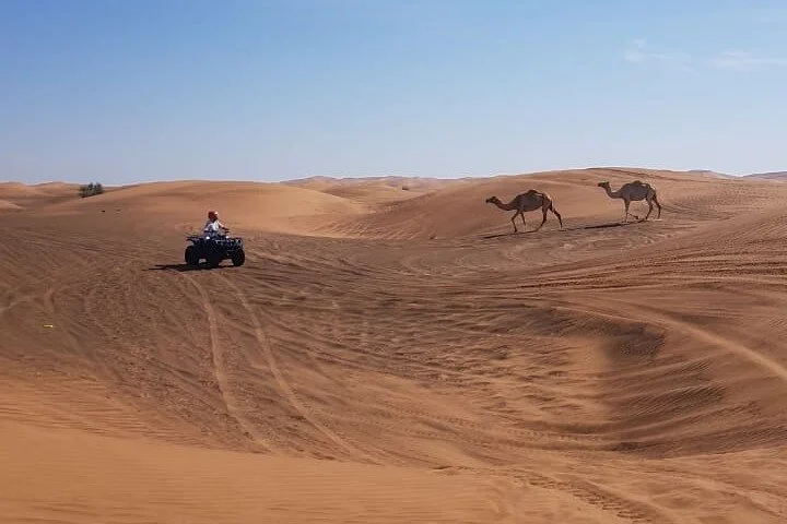 Dubai: Unique MORNING Quad Bike Red Dunes Safari