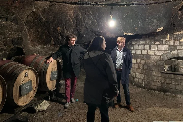 English Speaking Loire Winery Tours originating from Chinon