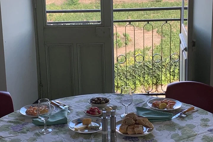 English Speaking Loire Winery Tours originating from Chinon