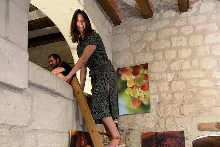 English Speaking Loire Winery Tours originating from Chinon