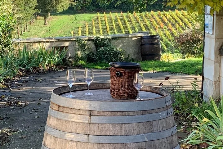 English Speaking Loire Winery Tours originating from Chinon