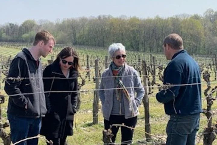 English Speaking Loire Winery Tours originating from Chinon