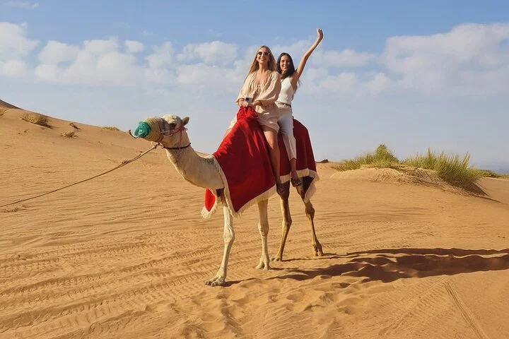 Evening Desert Safari Camel, Falcon, Sandboarding BBQ & Shows