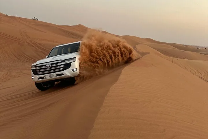 Evening Desert Safari Camel, Falcon, Sandboarding BBQ & Shows