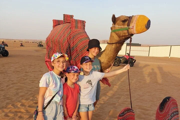 Evening Desert Safari Camel Ride Live Shows Shisha Dinner