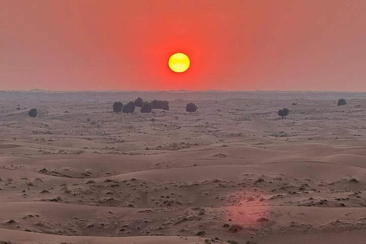 Evening Desert Safari