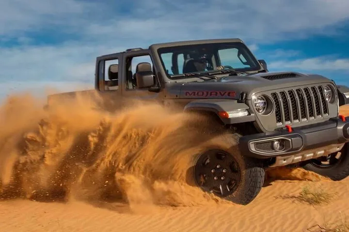 Evening Desert Safari