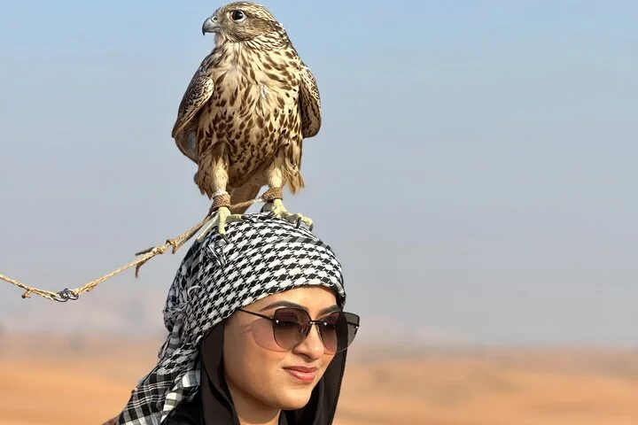 Evening Desert Safari Tour with BBQ Dinner and Live Show in Dubai