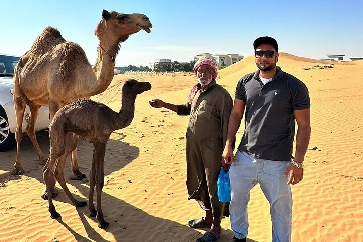 Evening Desert Safari Tours