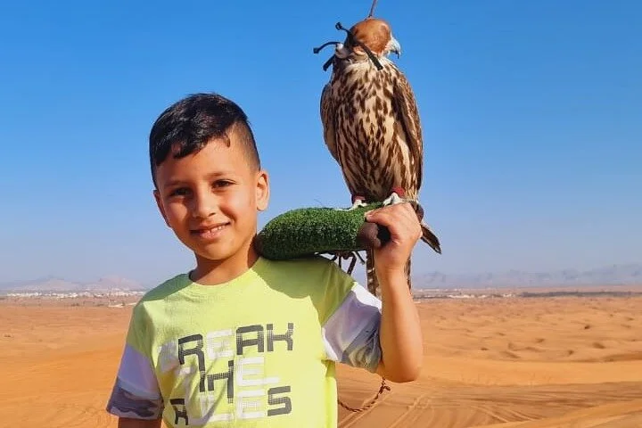 Evening Desert Safari Tours