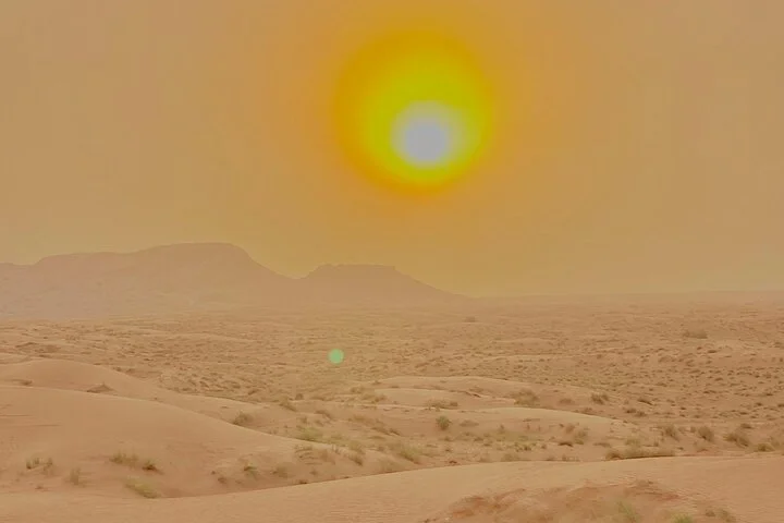 Evening Desert Safari with BBQ Buffet Dinner