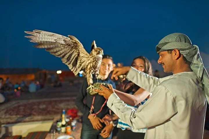 Evening Desert Safari with BBQ Dinner