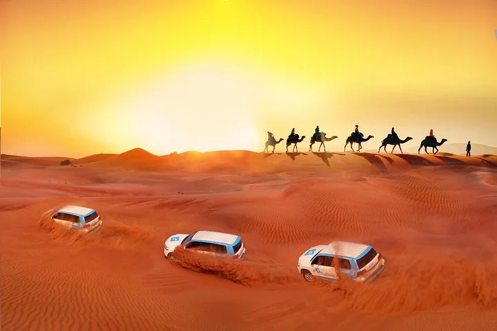 Evening Desert Safari with BBQ Dinner