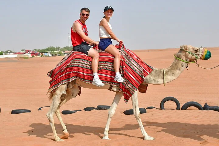 Evening Desert Safari with BBQ Dinner at Premium Camp