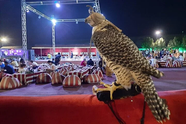 Evening Desert Safari with BBQ Dinner, Sandboarding and Camel Ride Experience