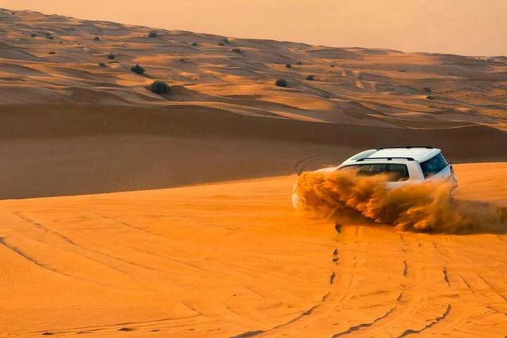 Evening: Desert Safari With Dinner