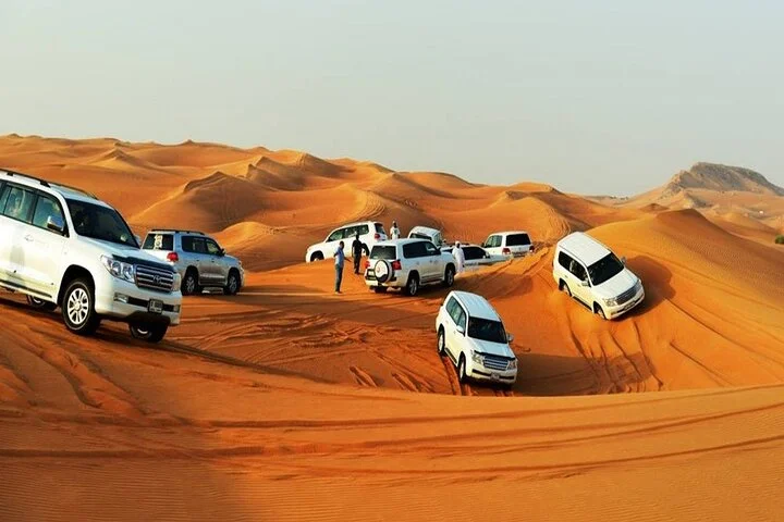 Evening: Desert Safari With Dinner