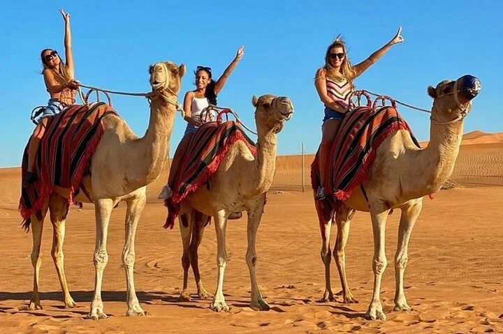 Evening Red Dunes Desert Safari BBQ & Shows & Camel Ride & Falcon