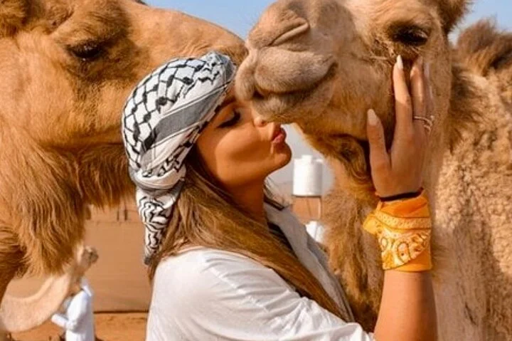 Evening Red Dunes Desert Safari BBQ & Shows & Camel Ride & Falcon