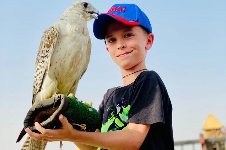 Exclusive Evening Desert Safari
