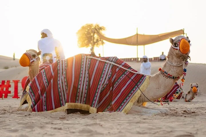 Experience Private Desert Safari with 5* BBQ Dinner Dune Bashing