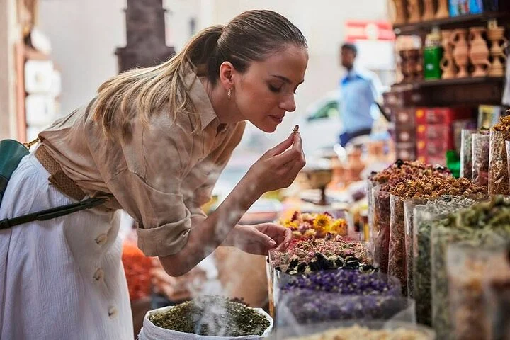 Explore Dubai From History to High Rises