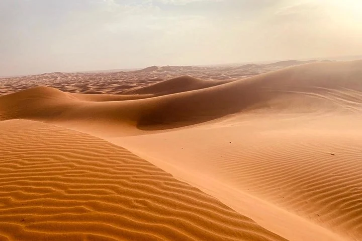 Extreme Desert Safari Dubai Evening with Dinner and Show