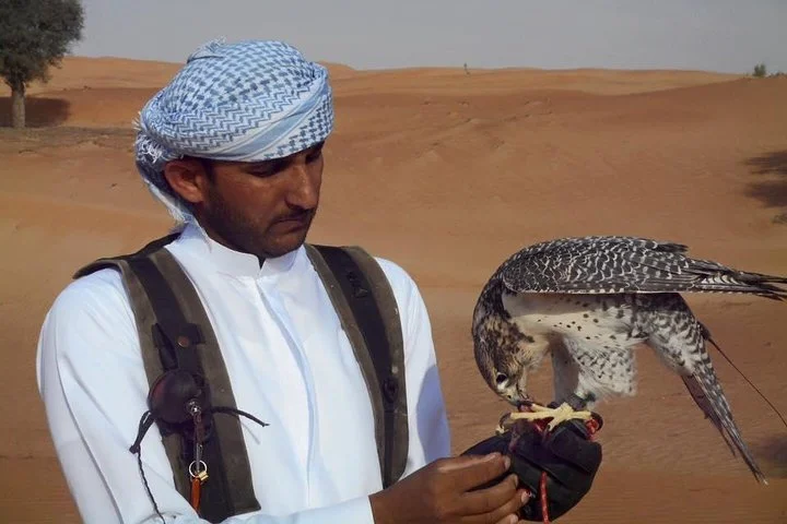 Falcon 1—Private Dubai Falconry Safari